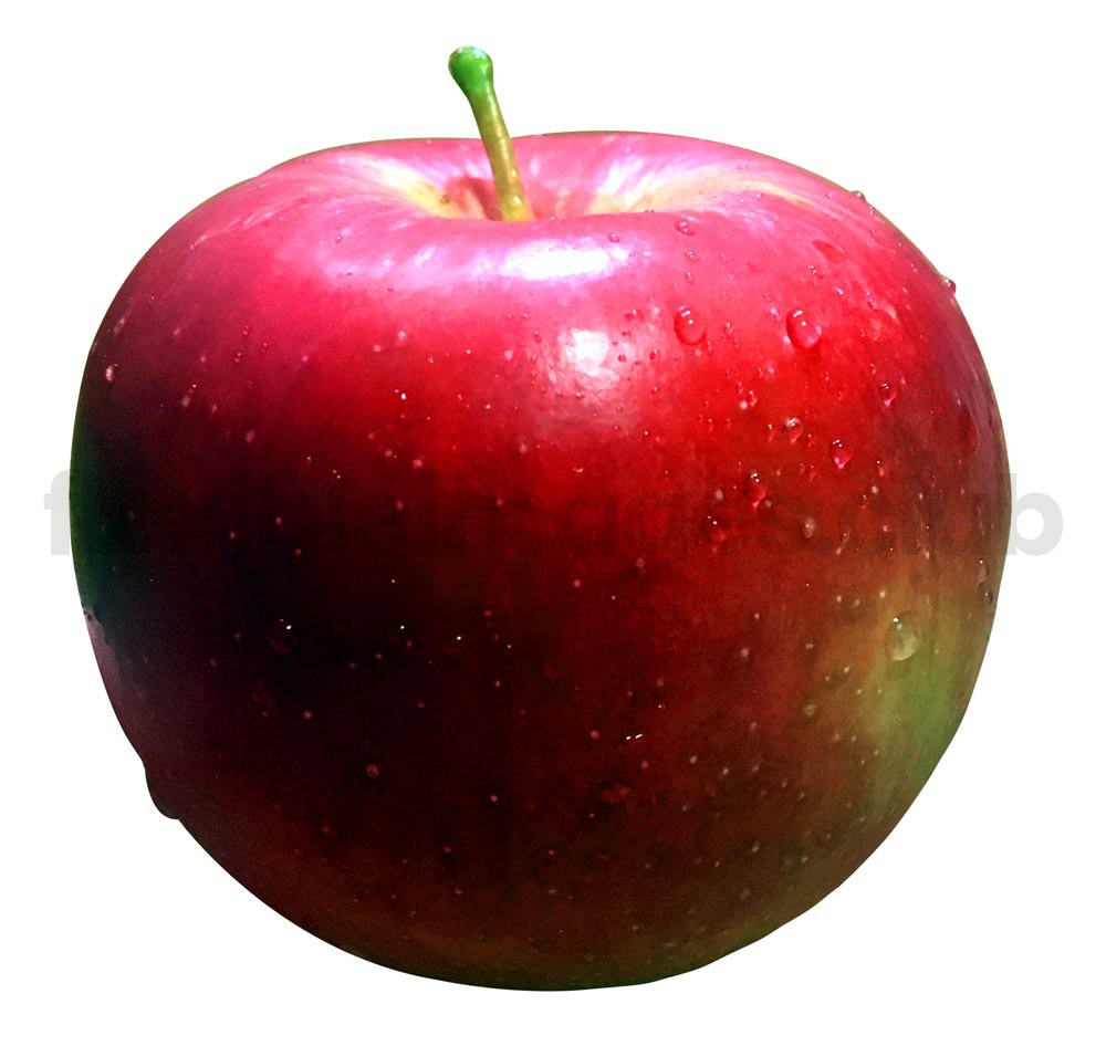 Arto for apple download